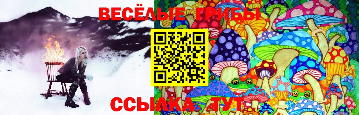 Галлюциногенные грибы прущие грибы Костомукша