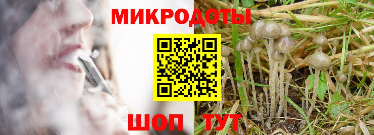 Псилоцибиновые грибы Cubensis  Вход с VPN  Костомукша 